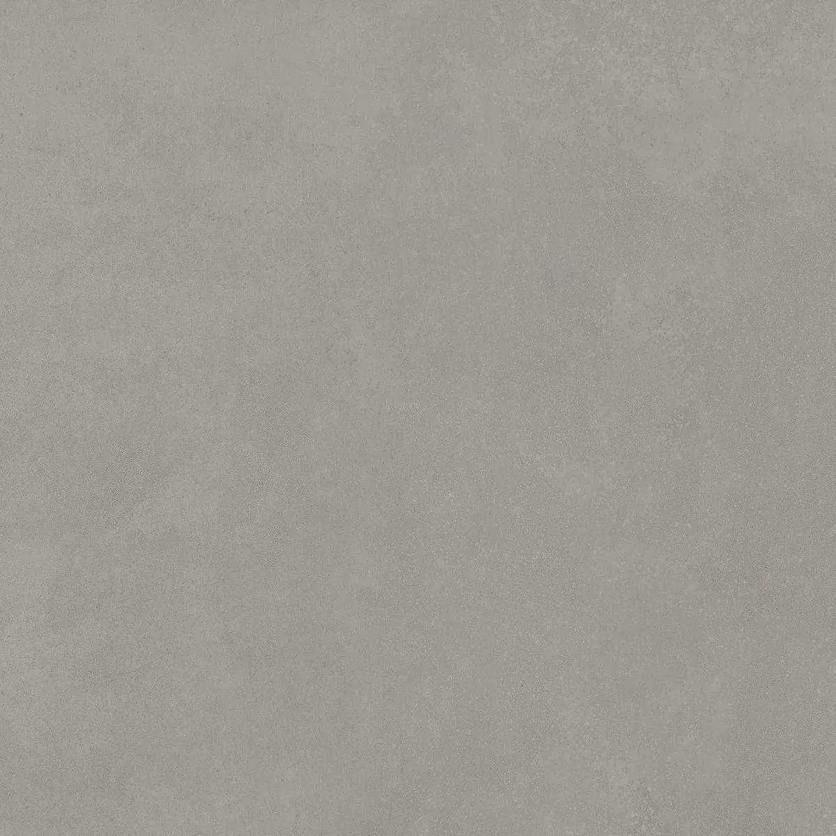 Sample Neutra Pearl 60x60 (sample tegel)