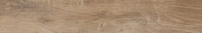 Nebraska Elm 9,8x59,3