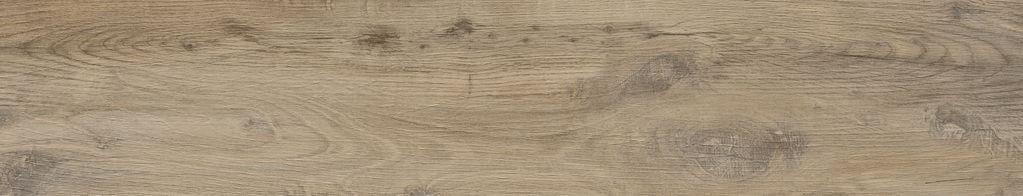 Nebraska Elm 23x120