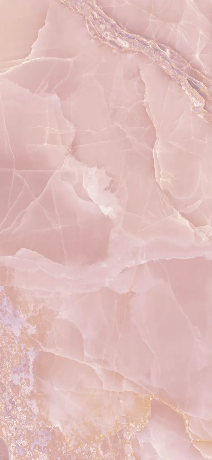 Onyx Rose polished 120x260 rett