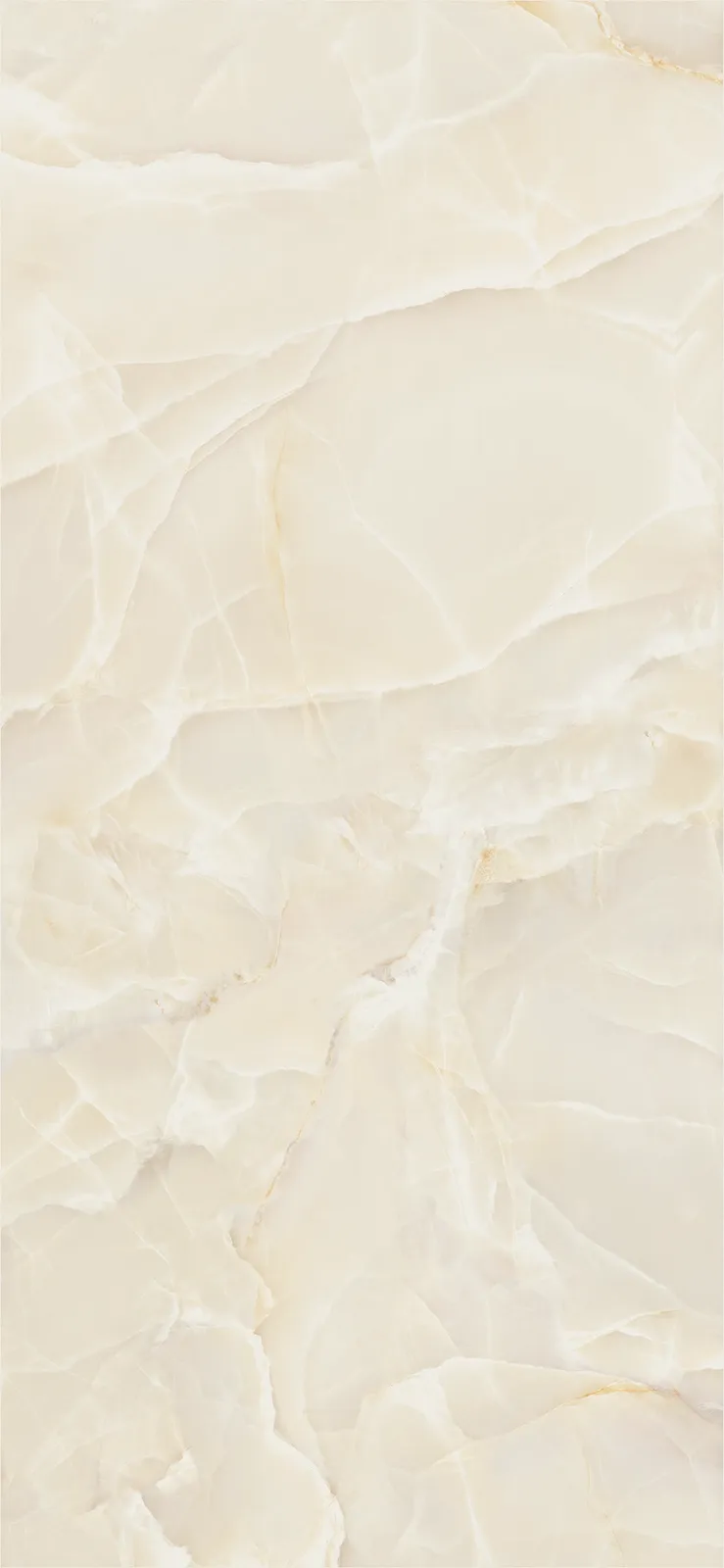 Onyx Sable polished 120x260 rett