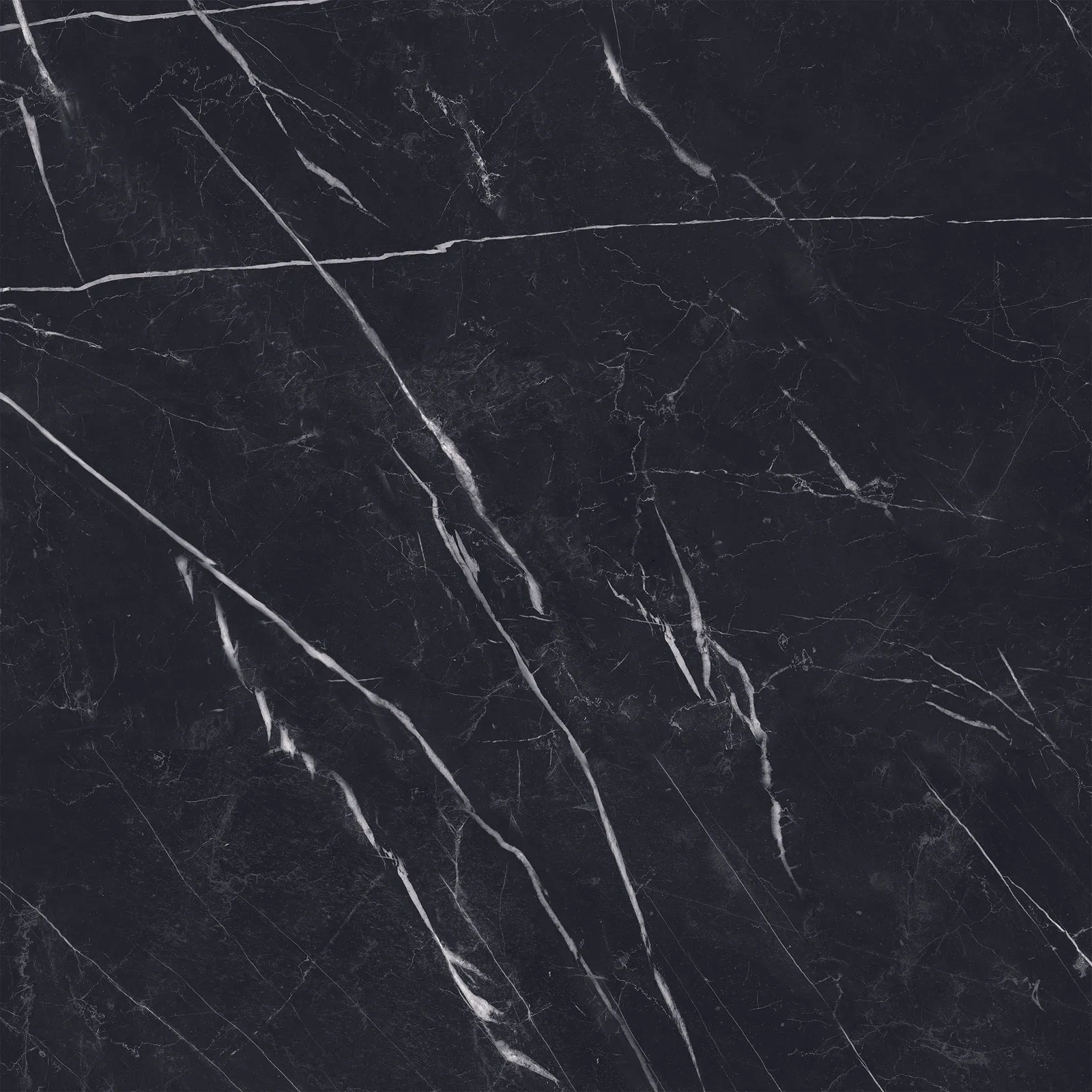Marquina Black pulido 120x120 rett, foto 2 van 2