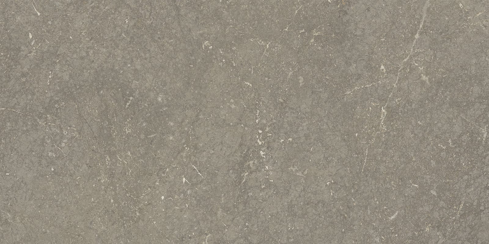 Munich Taupe wandtegel 25x50