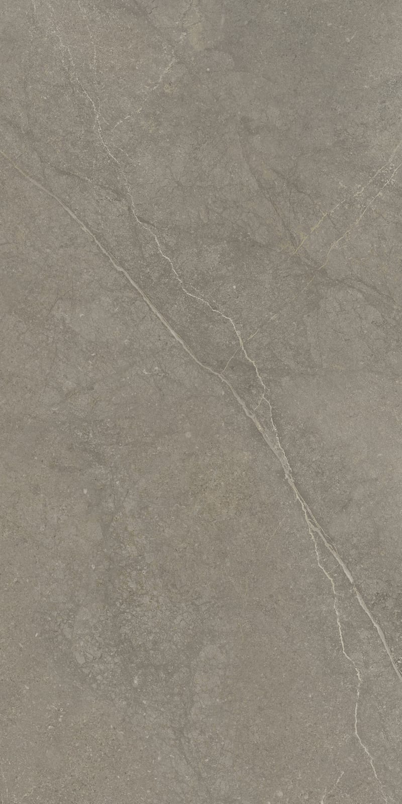 Munich Taupe 60x120 rett