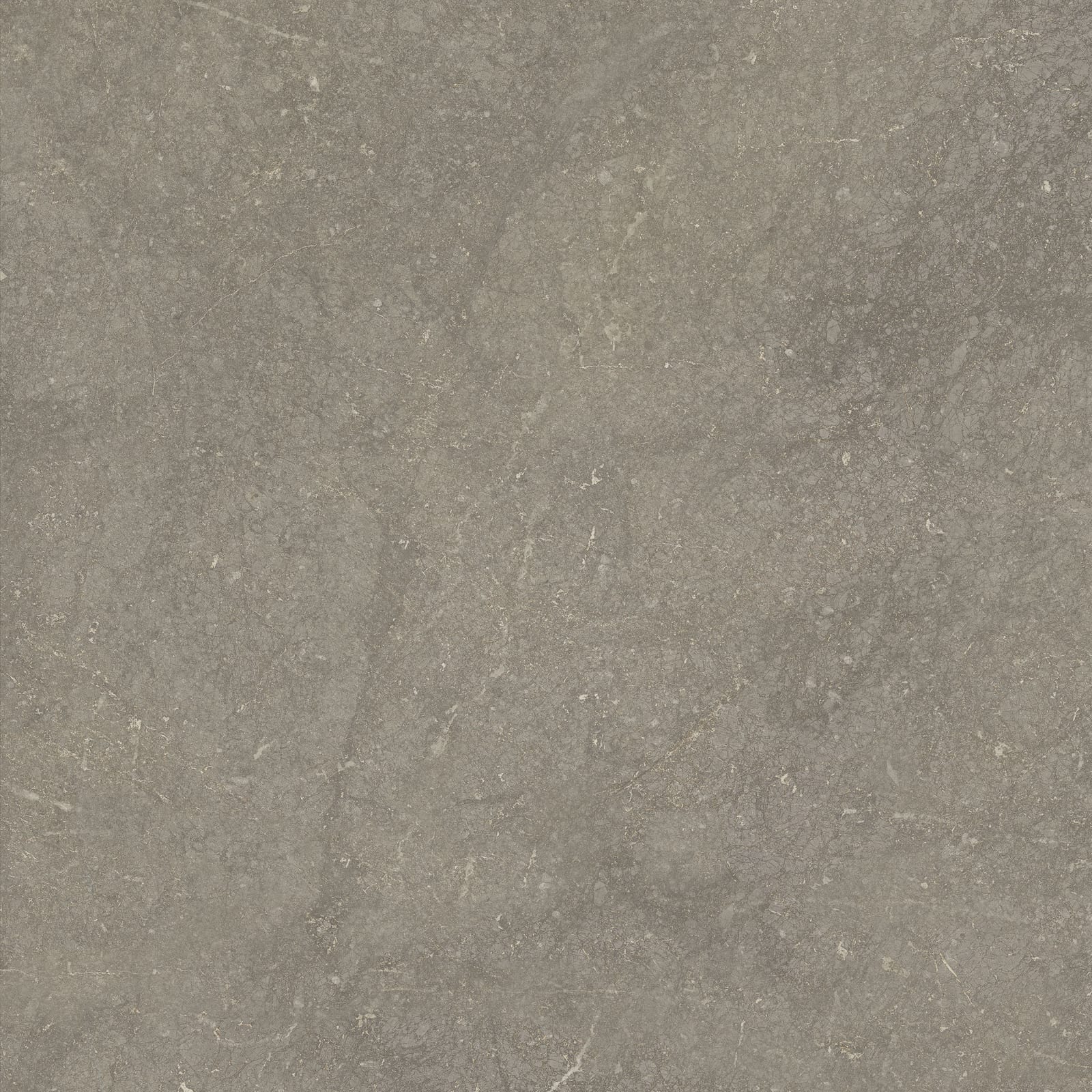 Munich Taupe 60x60 rett