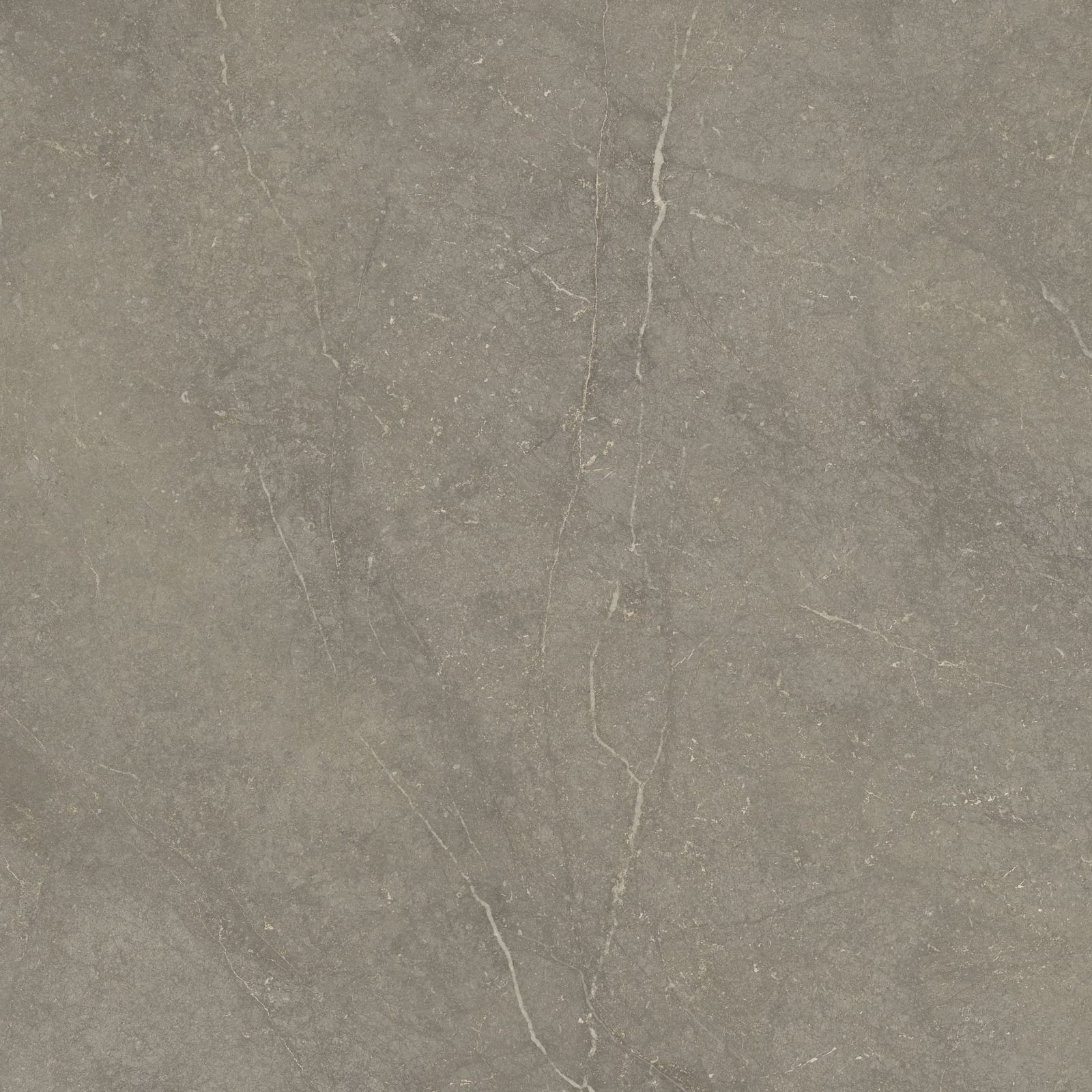 Munich Taupe 120x120 rett