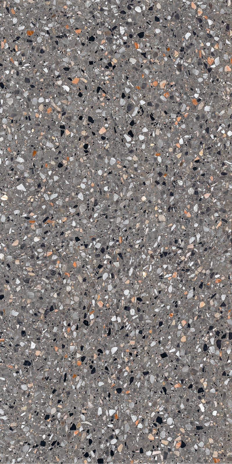 Medley terrazzo Antracite 60x120 rett