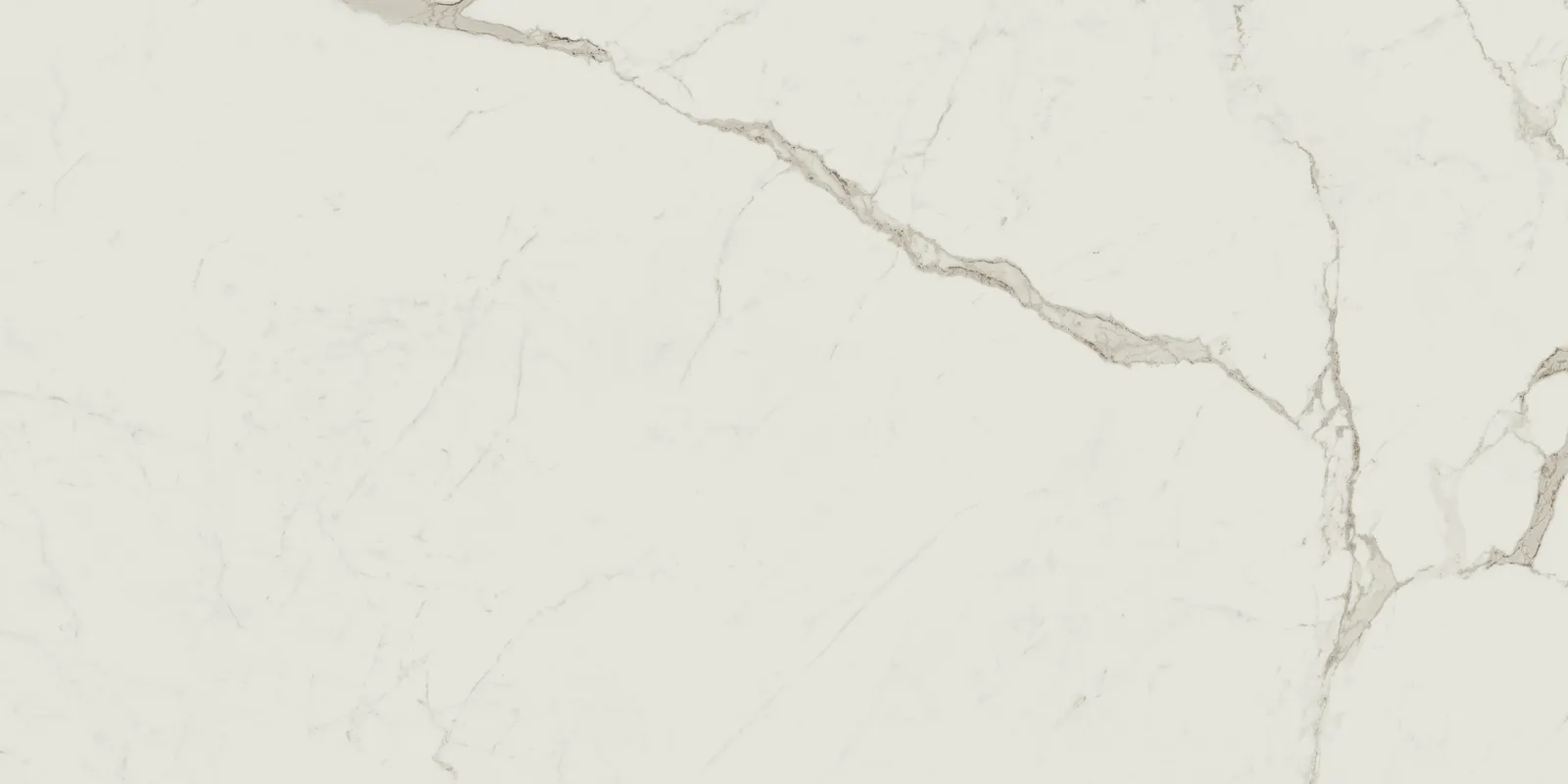 Exigo Calacatta mat 60x120 rett