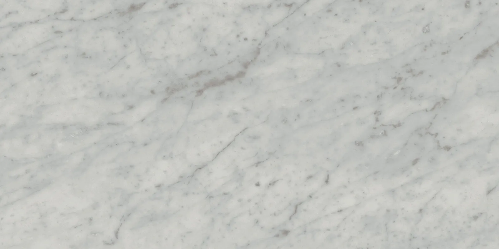 Sample Exigo Carrara mat 30x60 rett (sample tegel)
