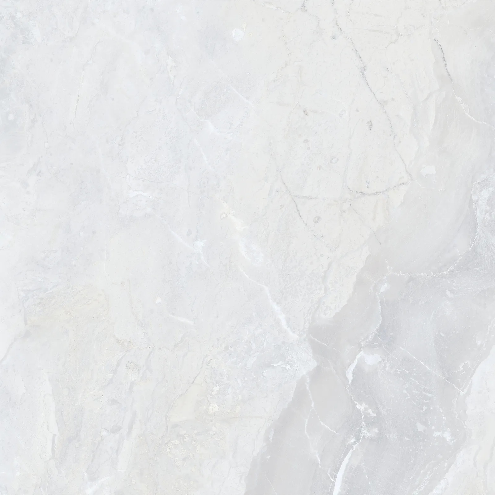 Luxury White glans 60x60