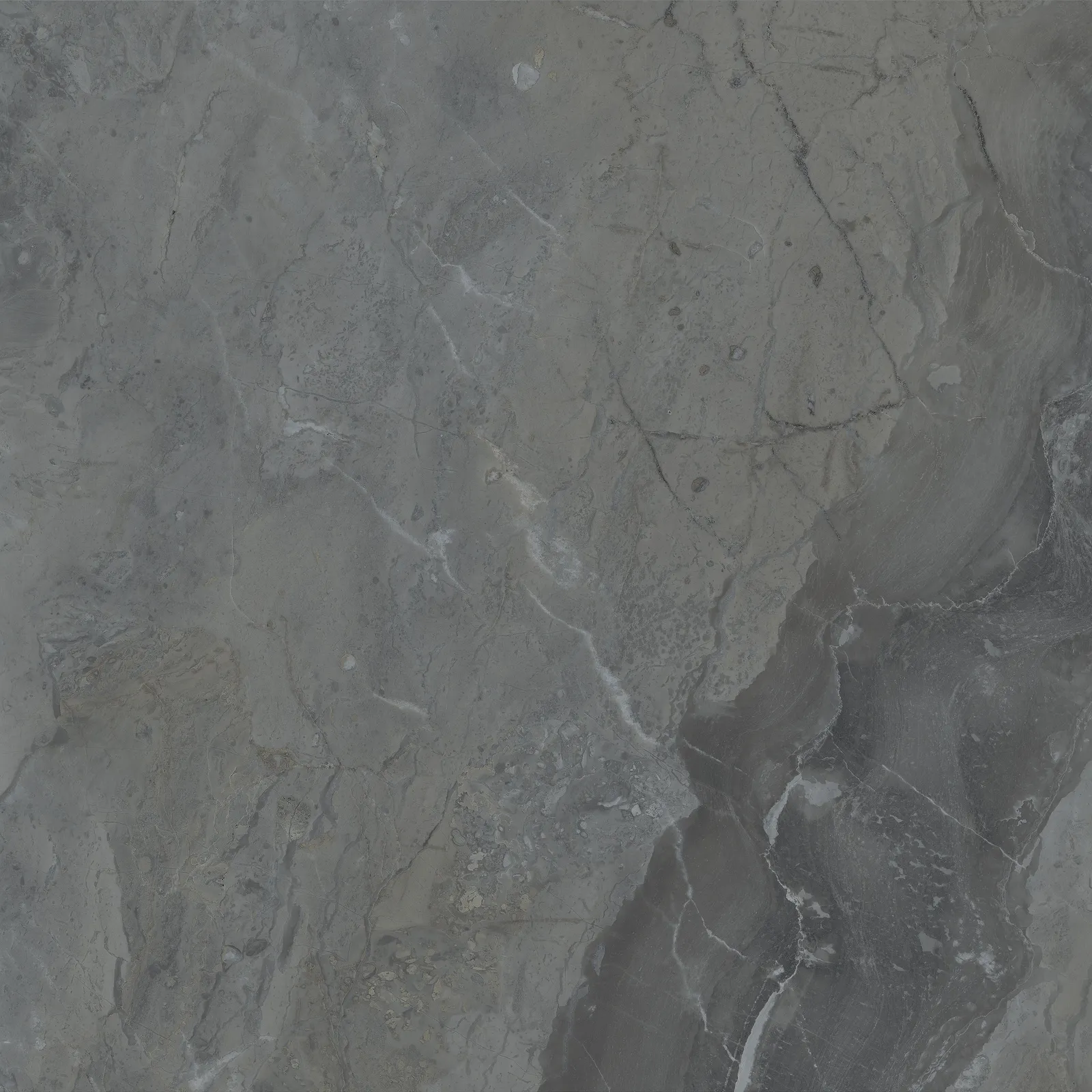 Luxury Dark glans 60x60