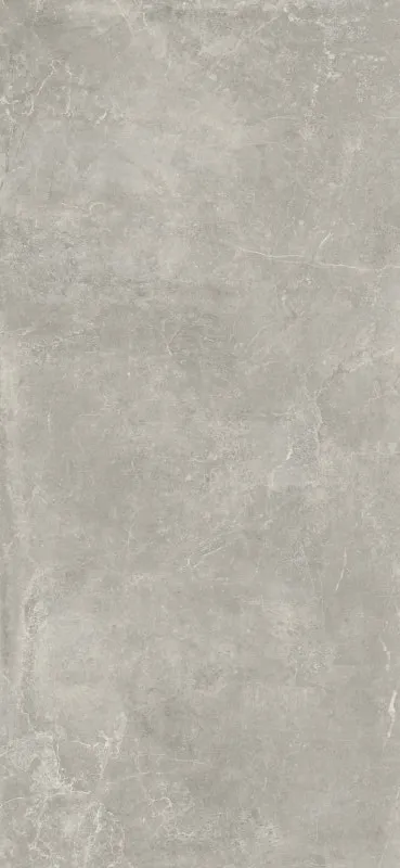 Concept Grey gepolijst 120x260 rett