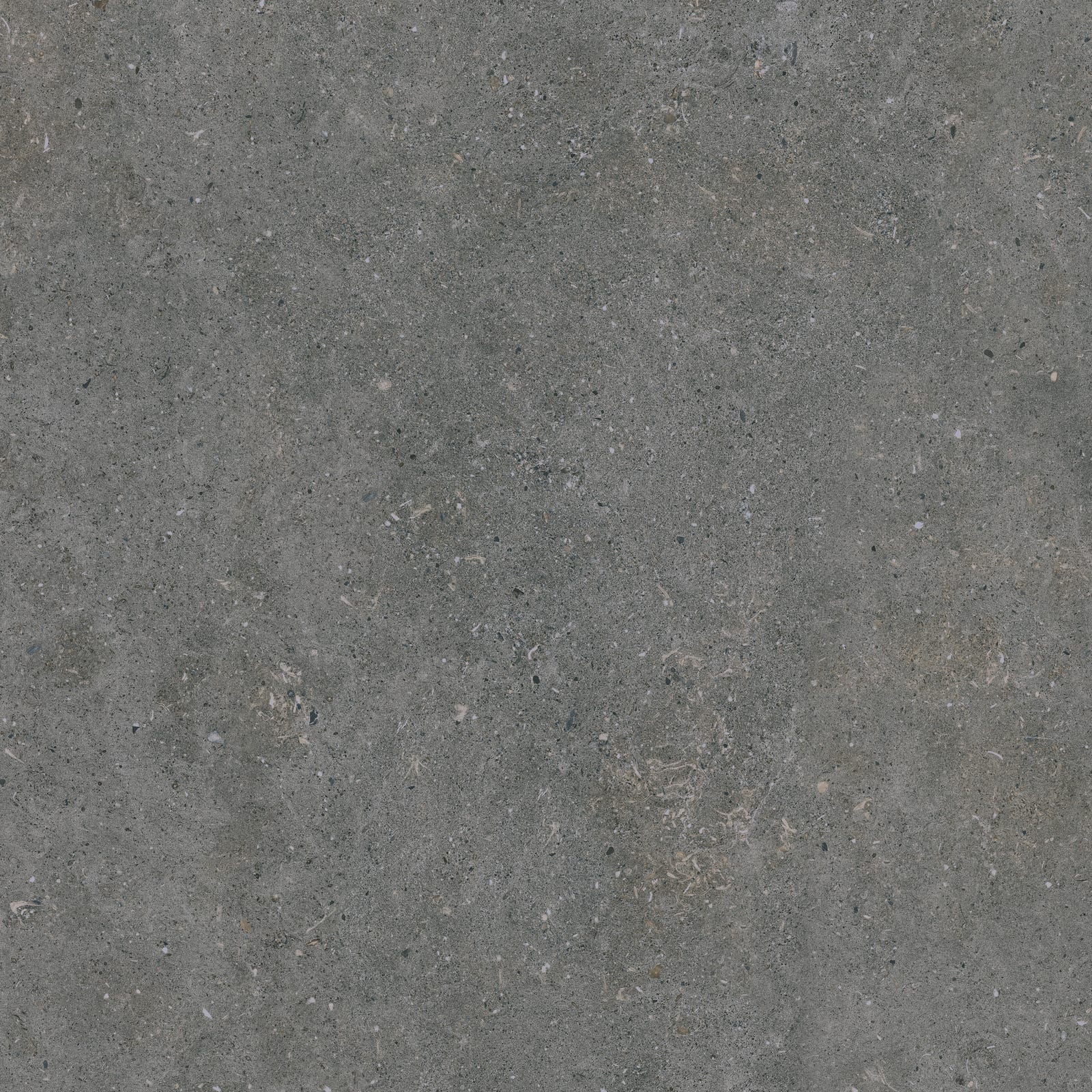 Terrastegel Acron Anthracite 60x60 rett 20mm