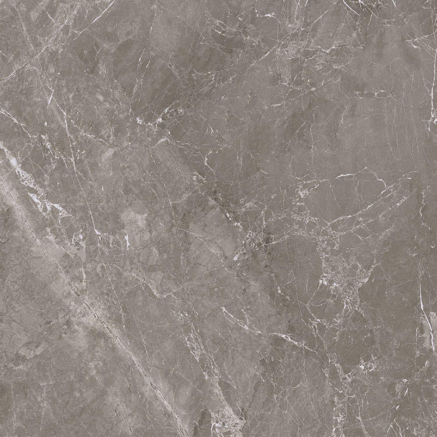 Fior di Bosco Noce silk 60x60 rett