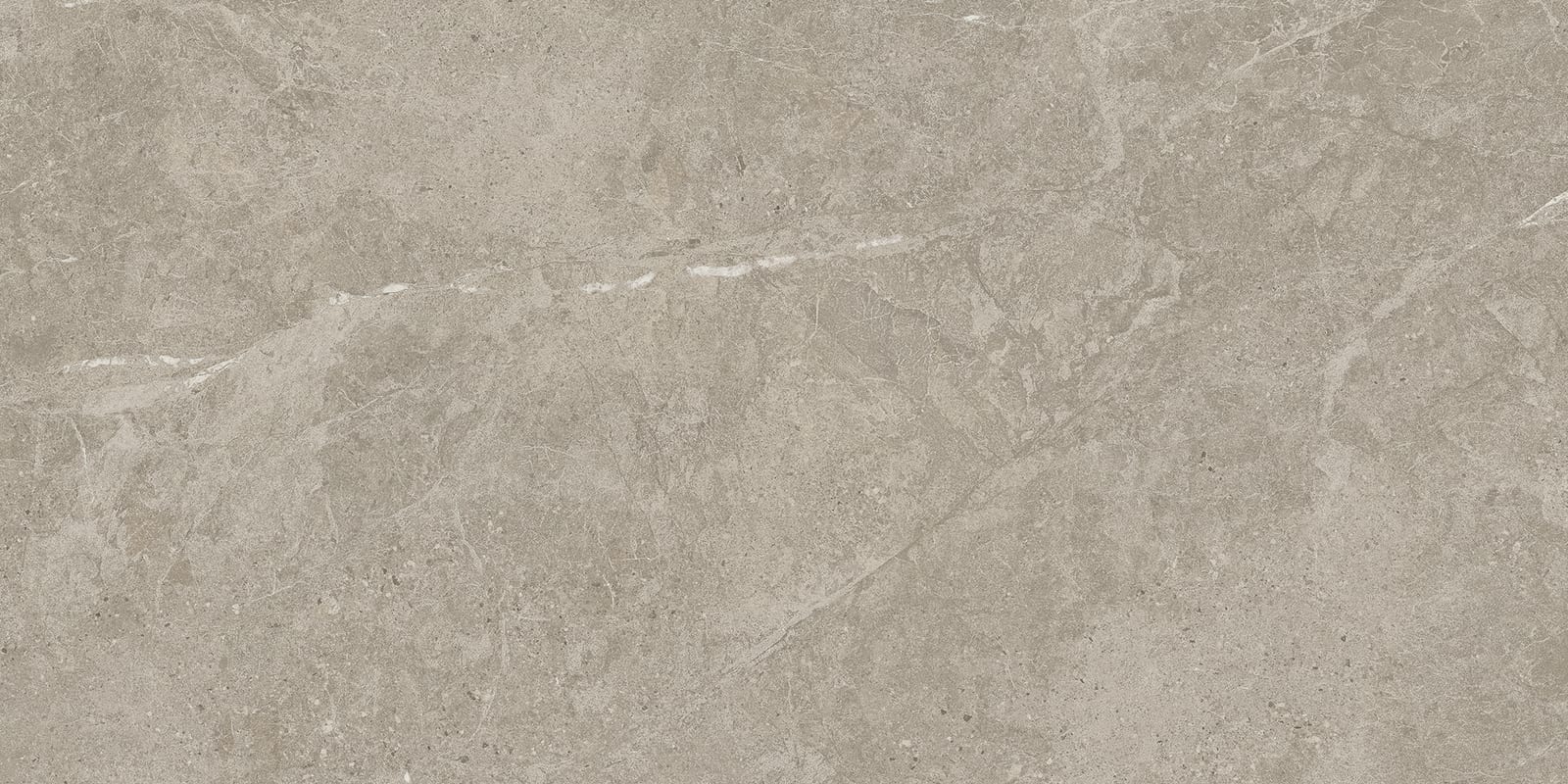 Duolith Fossil 60x120 rett