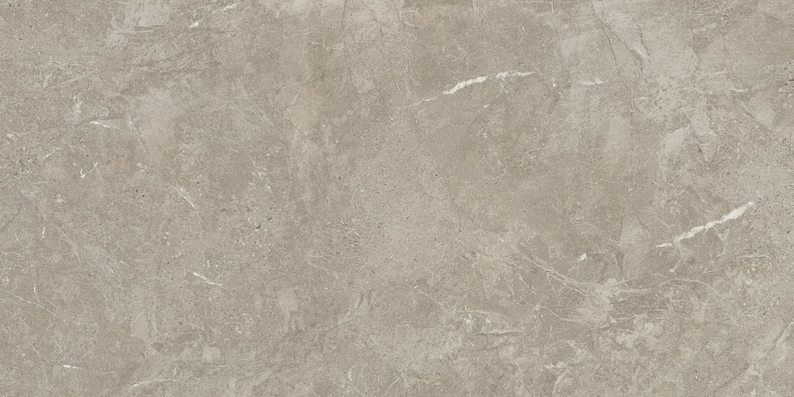 Duolith Fossil 60x120 rett, foto 2 van 3