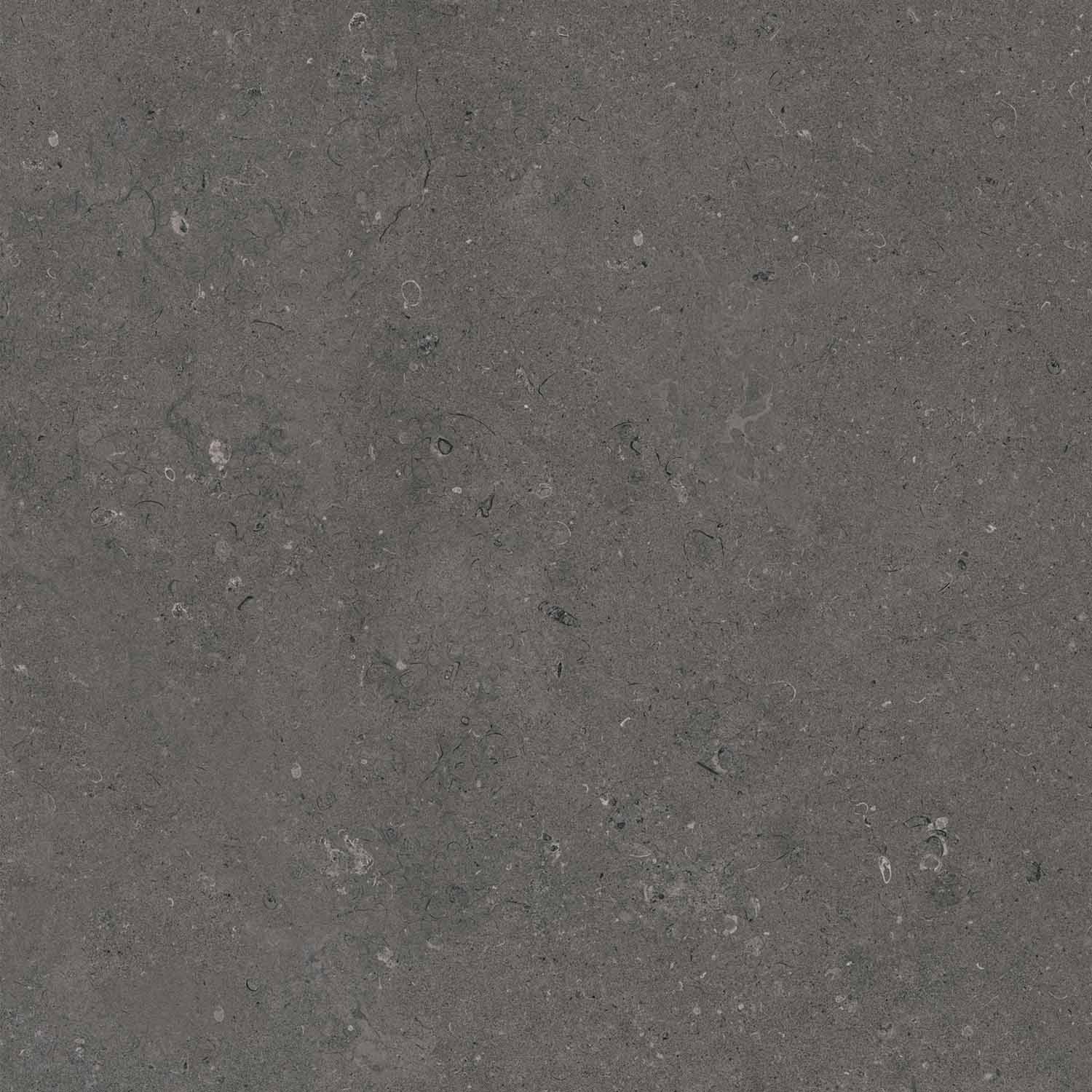 Rift Anthracite 60x60 rett