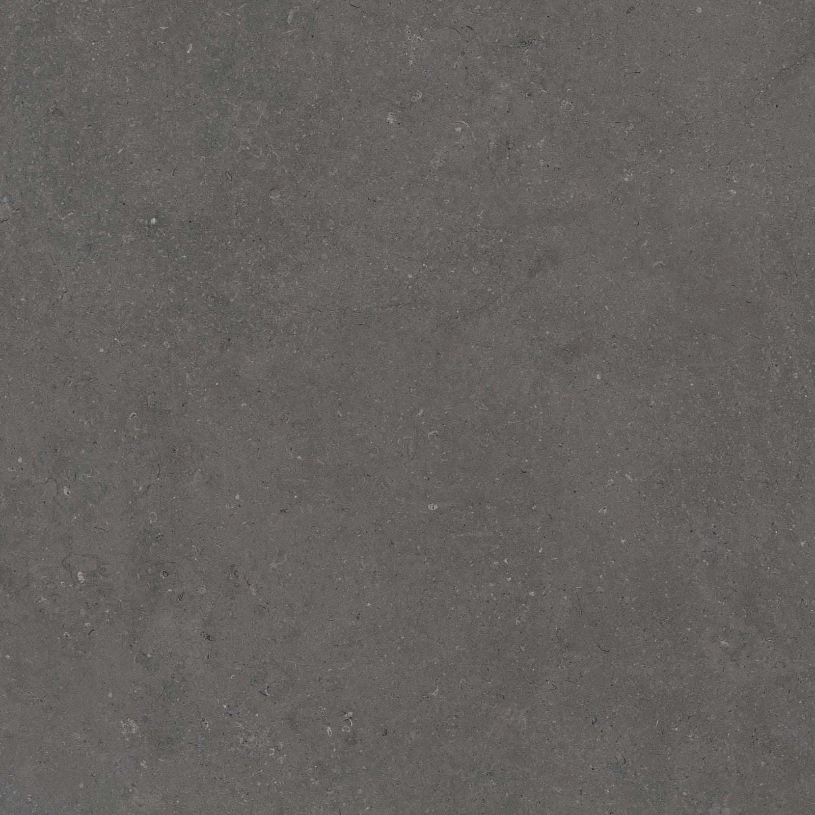 Rift Anthracite 120x120 rett
