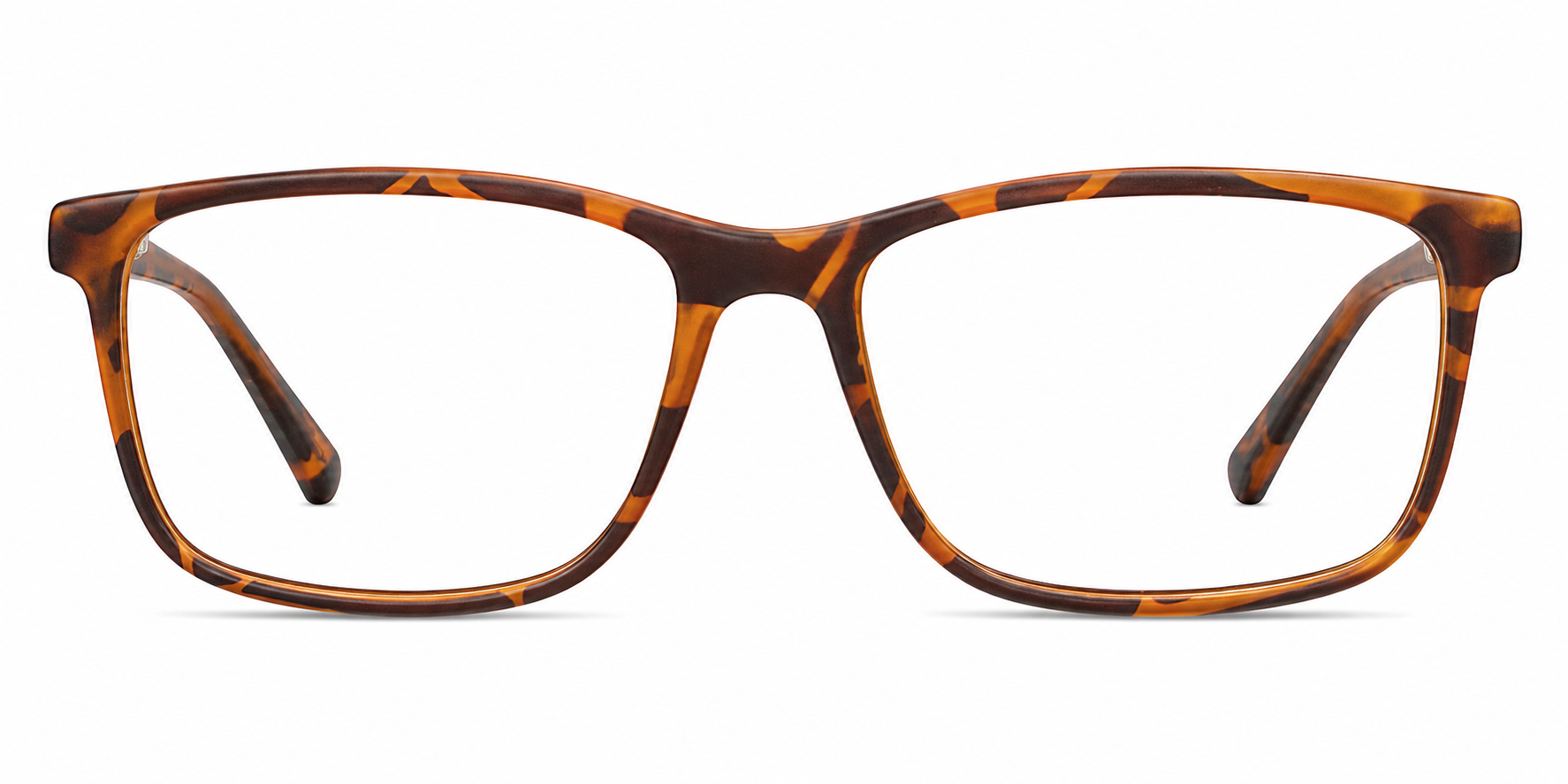 Florence glasses in Tortoise