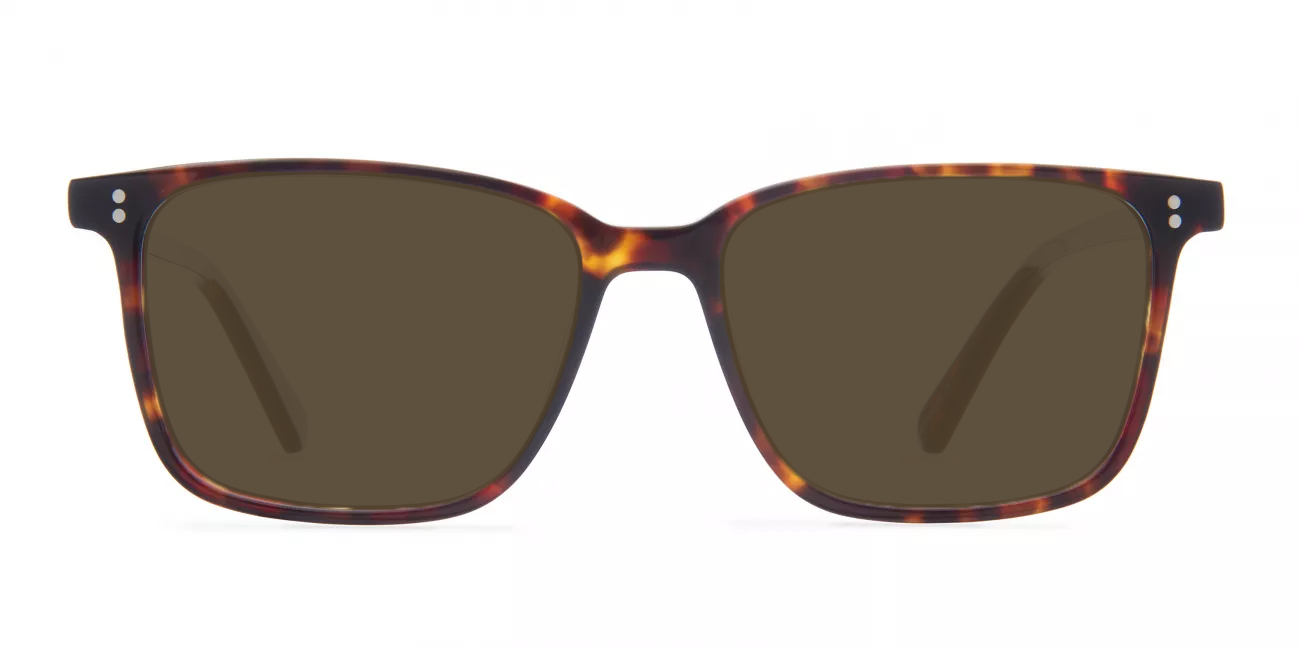 Hudson glasses