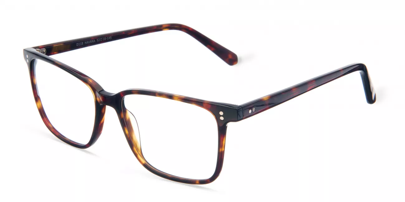 Hudson glasses