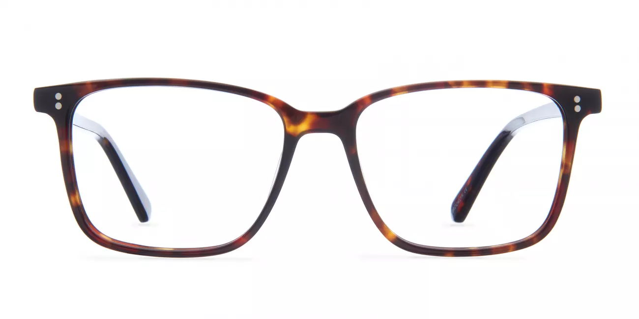 Hudson glasses