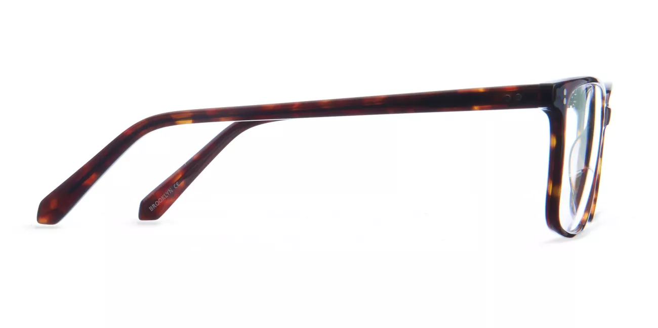 Hudson glasses