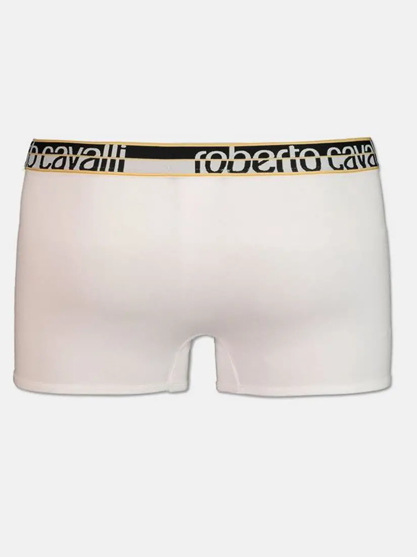 Roberto Cavalli Boxers (2 pairs)
