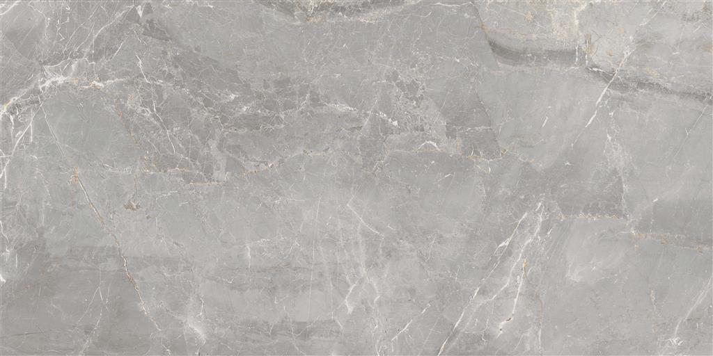 Dado Charme Grey Lappato vloertegel glans - kleur grijs (foto 2)