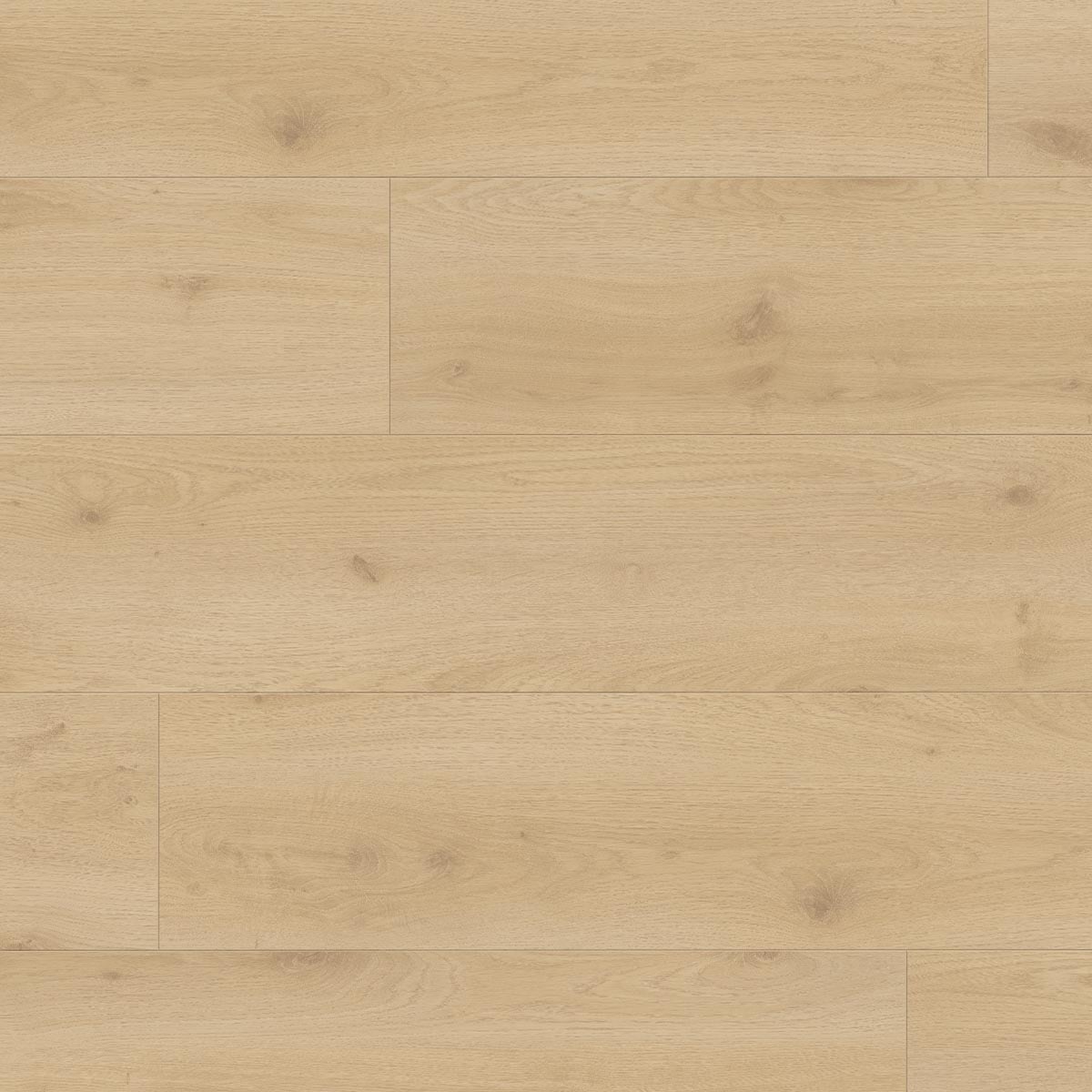 Douwes Dekker Brede plank Chili - 24,3 cm, 2V - laminaatvloer in beige, rechte planken