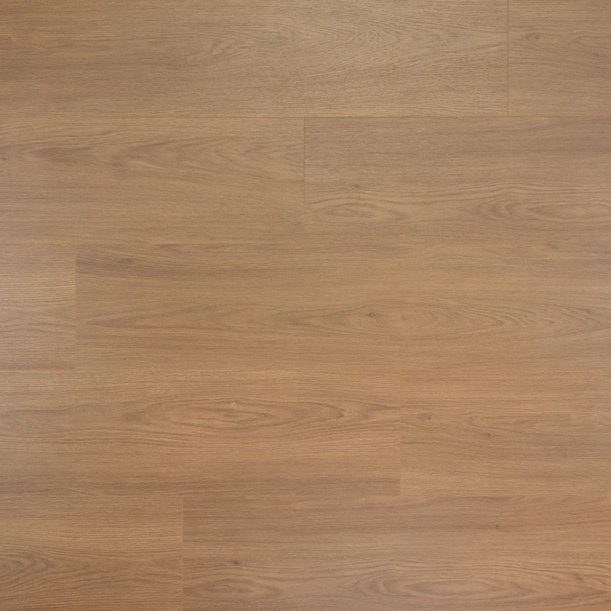 Douwes Dekker Brede plank Olijf 24,3 cm, 4MV - laminaatvloer in naturel eiken, rechte planken