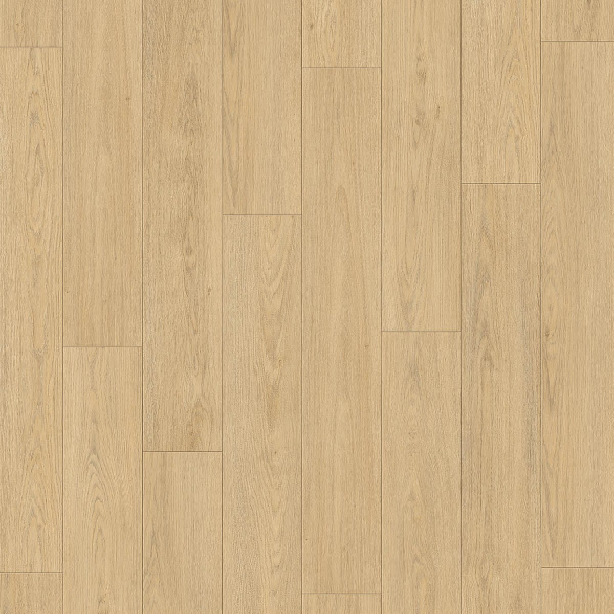 Douwes Dekker Brede plank Truffel 24,3 cm, 4MV - laminaatvloer in beige, rechte planken