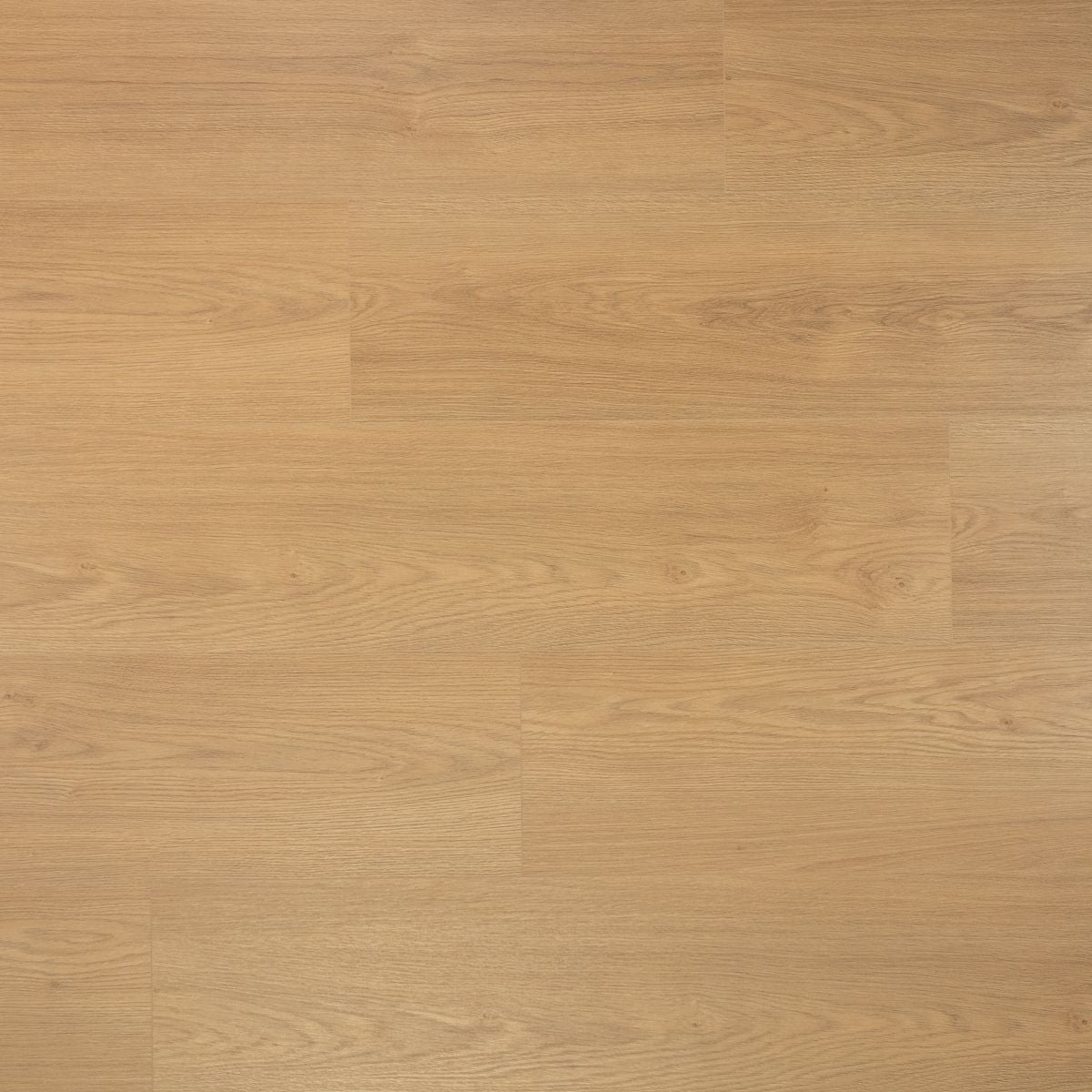 Douwes Dekker Extra lange plank Kaviaar 8 mm, 24,3 cm, 4MV - laminaatvloer in naturel eiken, rechte planken