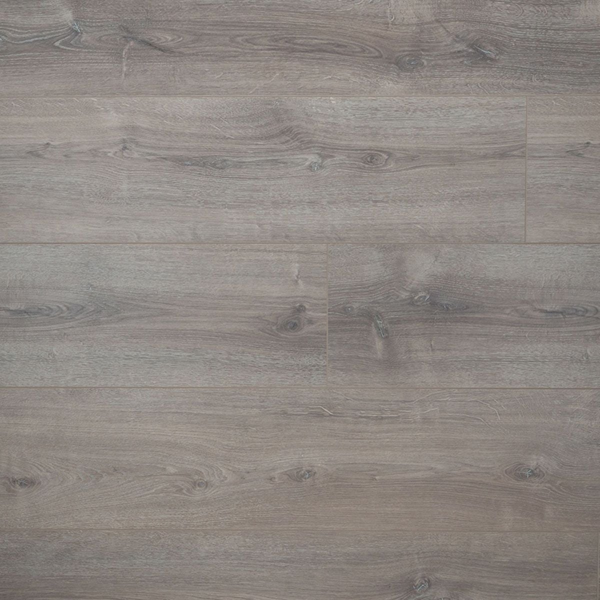 Douwes Dekker Extra lange plank Lavendel 8 mm, 24,3 cm, 4V - laminaatvloer in grijs, rechte planken