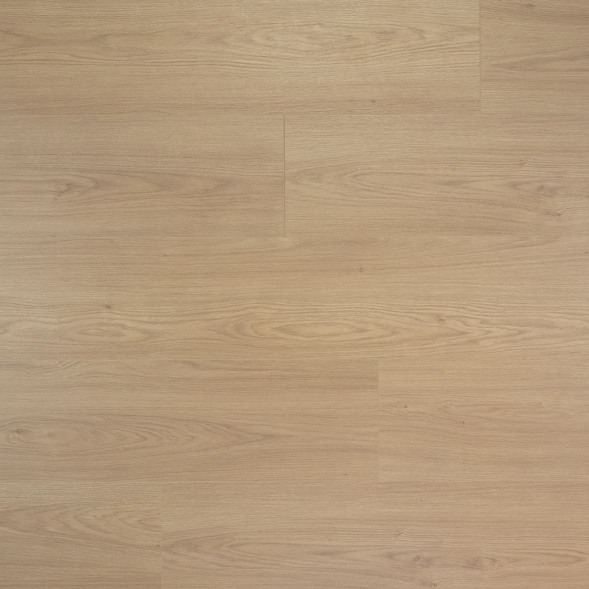 Douwes Dekker Extra lange plank Truffel 8 mm, 24,3 cm, 4MV - laminaatvloer in naturel eiken, rechte planken