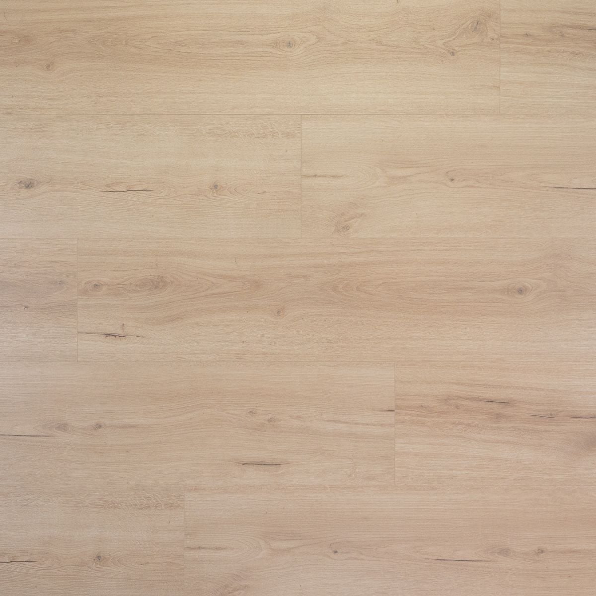 Douwes Dekker Extra lange plank Vijg 8 mm, 24,3 cm, 4MV - laminaatvloer in beige, rechte planken