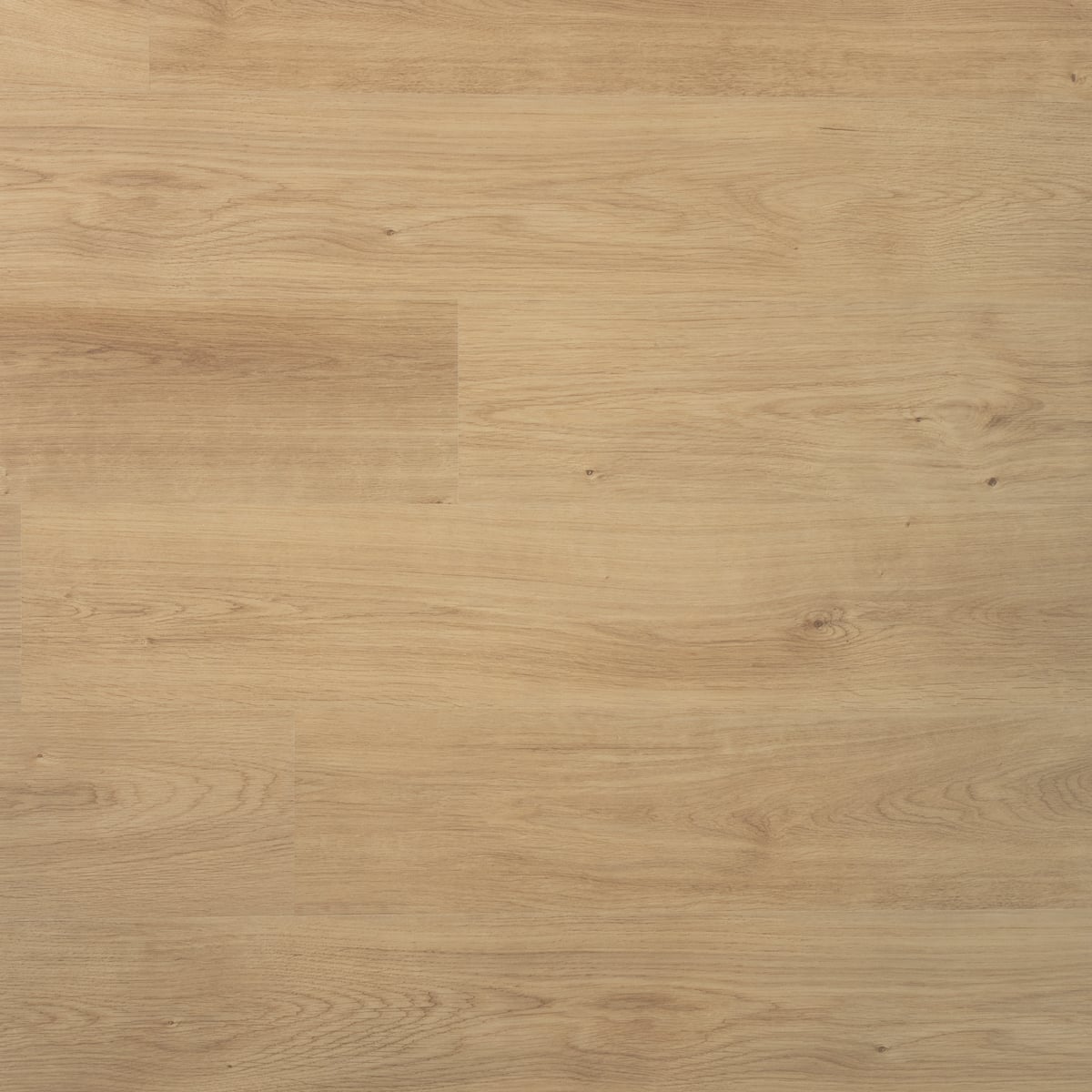 Douwes Dekker Plank Nootmuskaat - 19,2 cm, vlak - laminaatvloer in naturel eiken, rechte planken