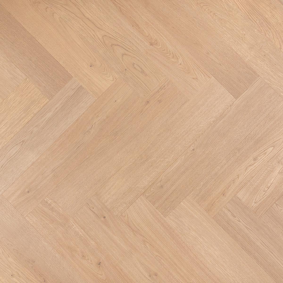 Douwes Dekker Visgraat Amandel - PB 4V - laminaatvloer in beige