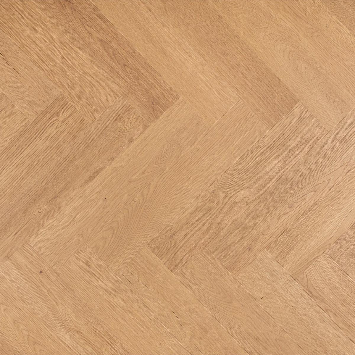 Douwes Dekker Visgraat Cashew - PB 4V - laminaatvloer in naturel eiken
