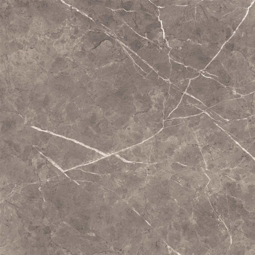 Ecoceramic Luxe Bolonia vloertegel gepolijst - kleur grijs
