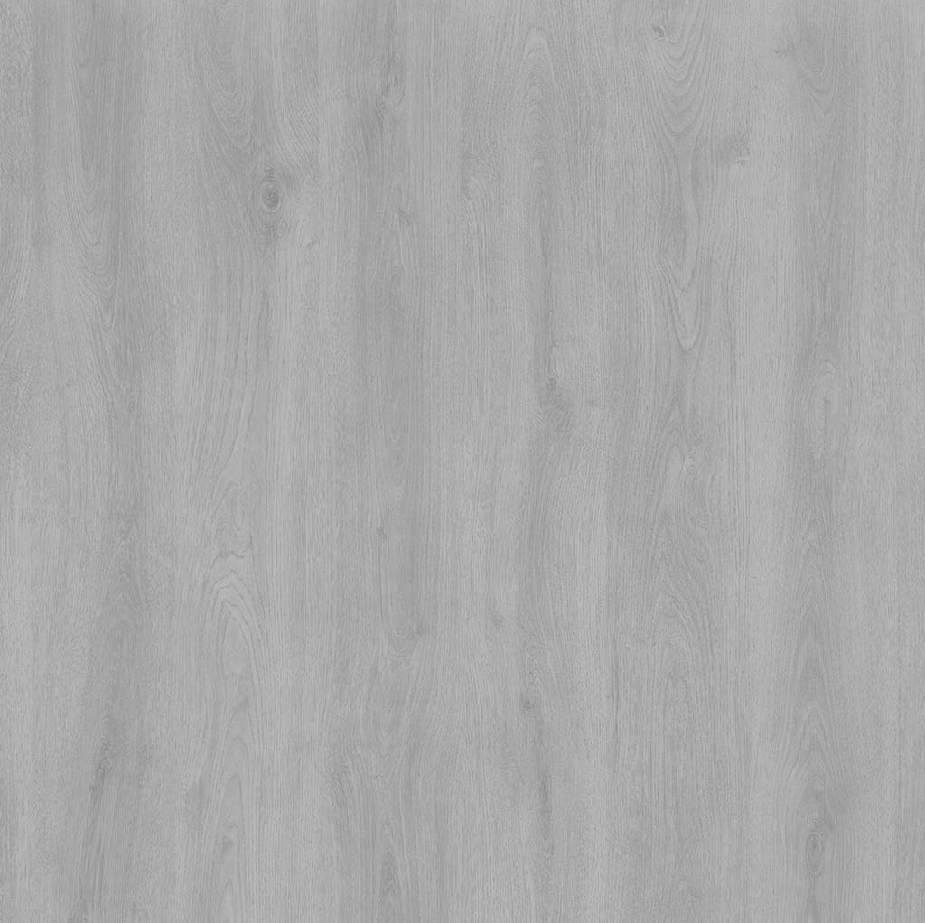 Elegant eiken light grey D3904 - laminaatvloer in grijs, rechte planken