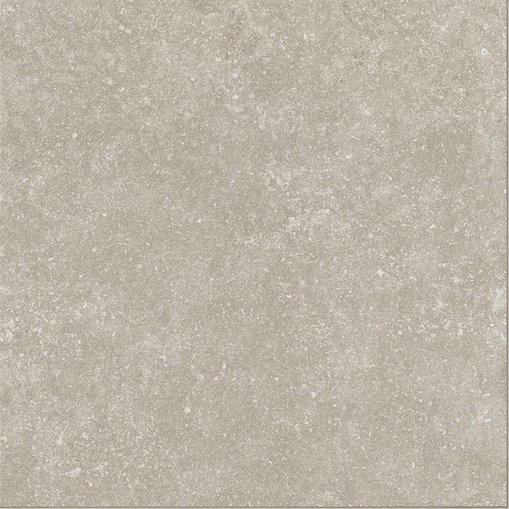 Expert Mainz Avana vloertegel mat - kleur beige