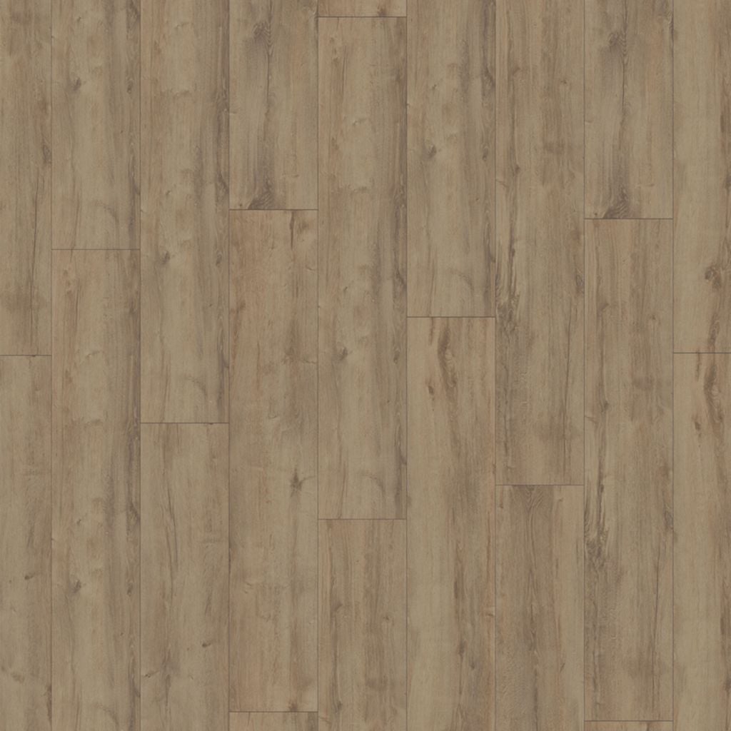 Laminaat Maris smoky eiken WR - kleur bruin, rechte planken