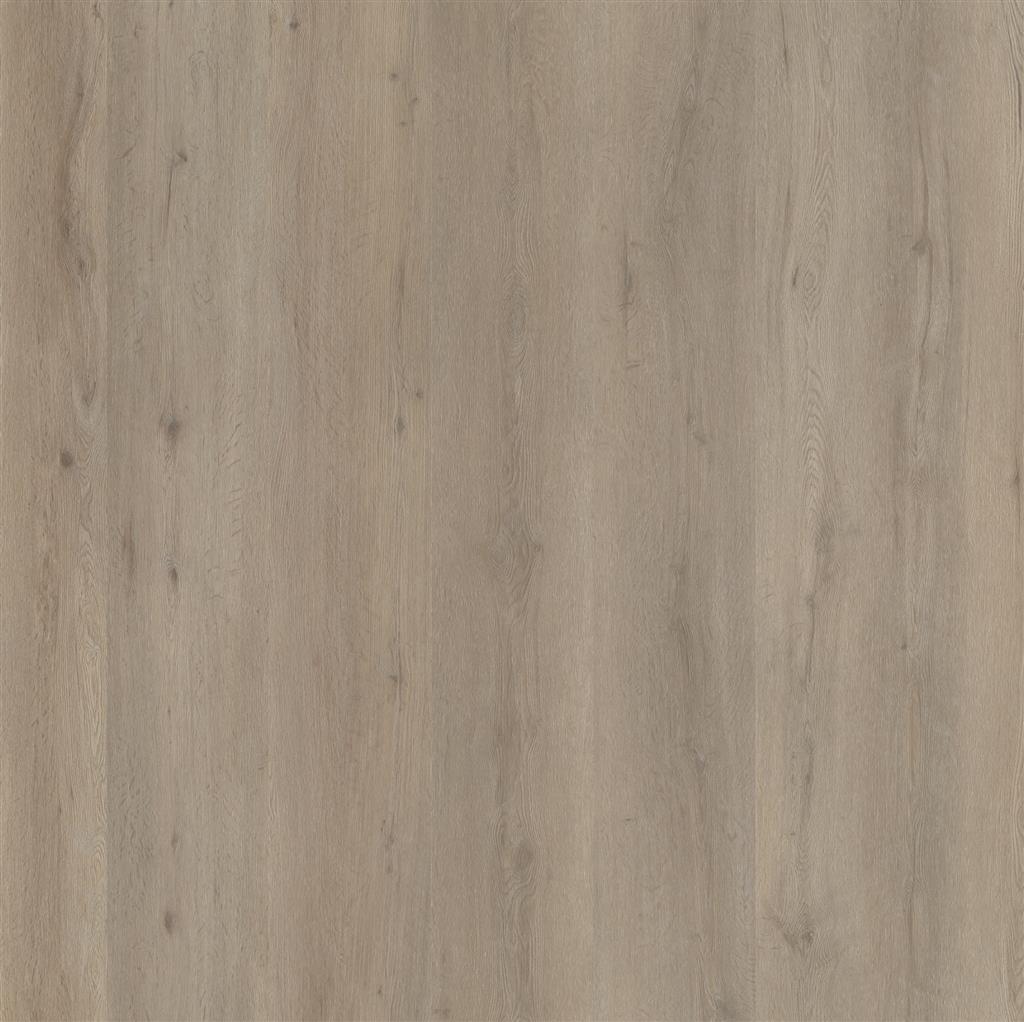 Leyton dryback light oak - PVC vloer in beige, rechte planken