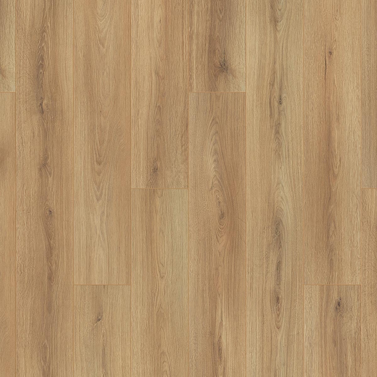 Otium Amber Taupe - laminaatvloer in naturel eiken, rechte planken