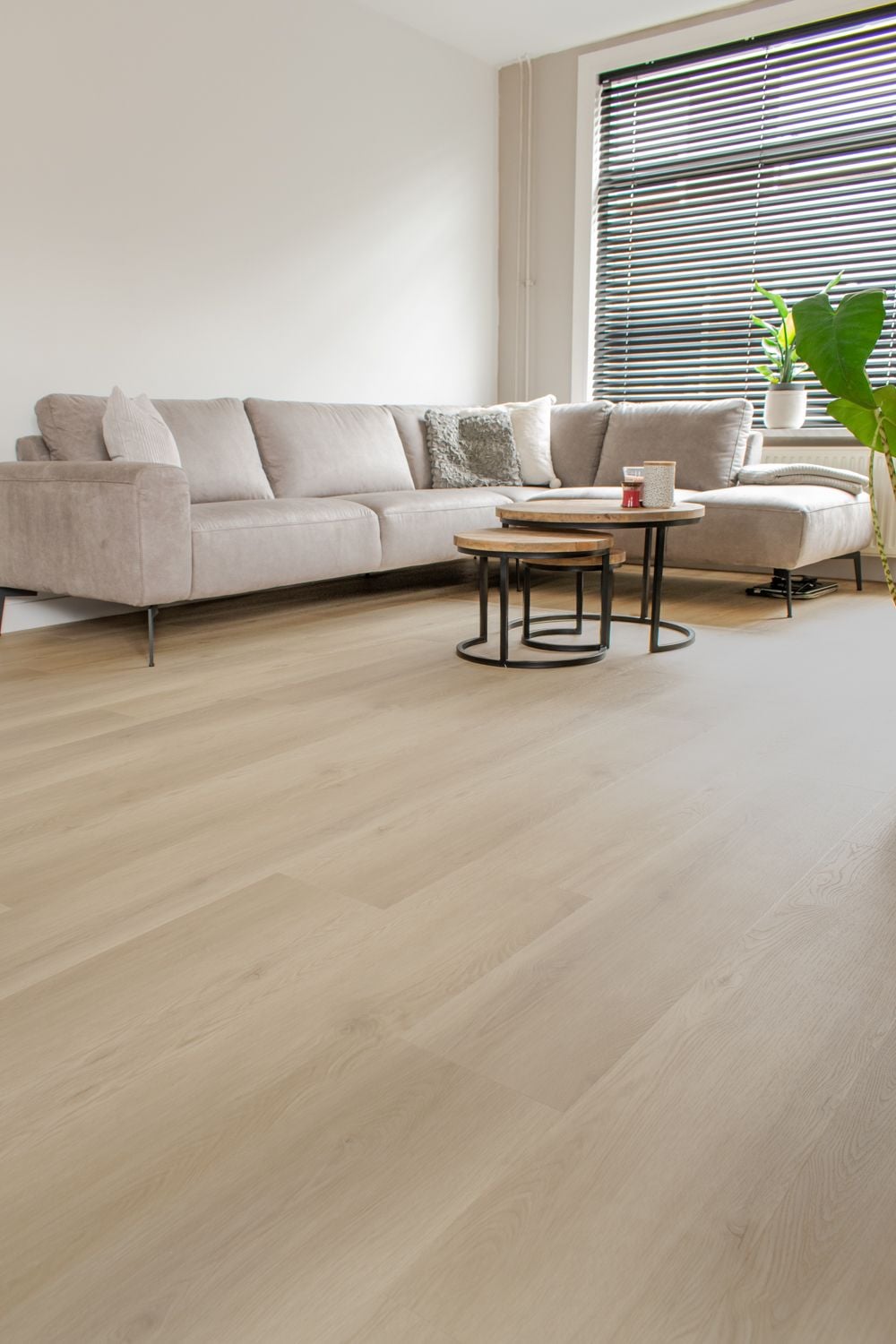 Gelasta Artline Register 2300 Beige - PVC vloer, rechte planken (foto 3)