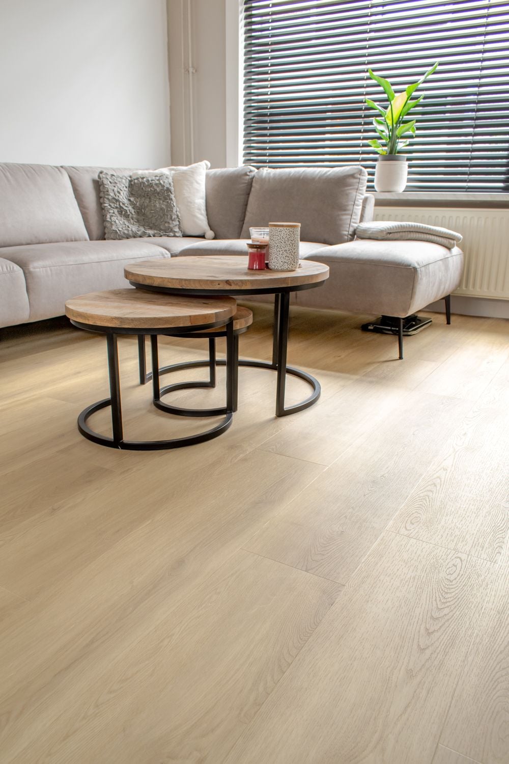 Gelasta Artline Register 2300 Beige - PVC vloer, rechte planken (foto 6)