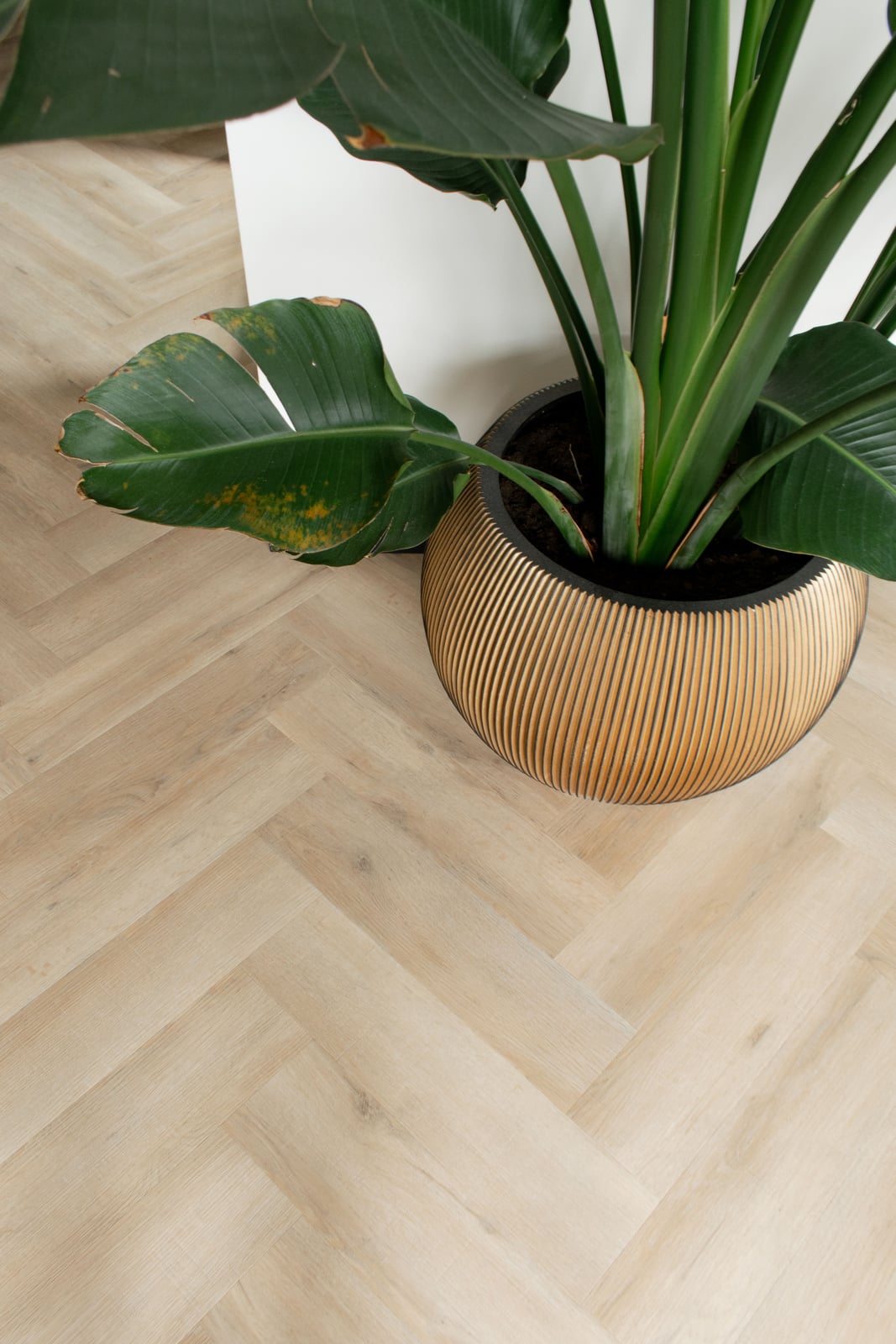 Gelasta Artline Visgraat 1260 Premium Oak Beige - PVC vloer (foto 4)