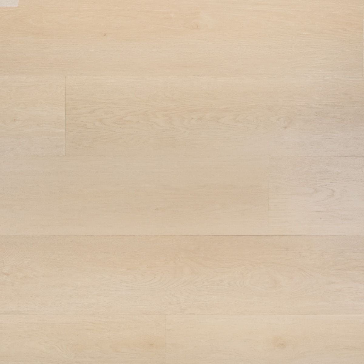 Otium NXT Noble Plank SPC Rigid Click - PVC vloer in beige, rechte planken