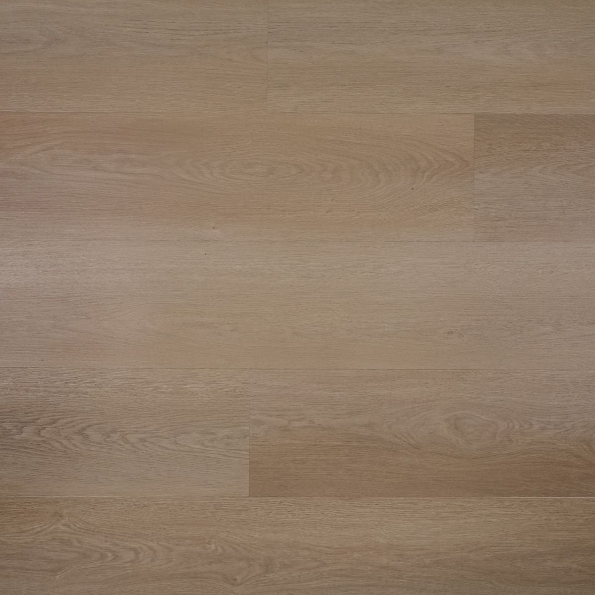 Otium NXT Seren Plank SPC Rigid Click - PVC vloer in beige, rechte planken